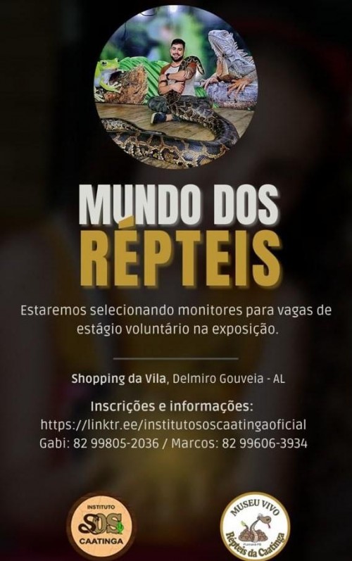 [Mundo dos répteis - Shopping da vila]
