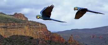 IMG-20230509-WA0042(1)